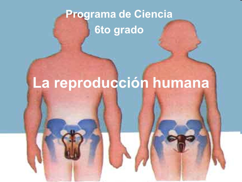 descarga de erección retráctil youtube